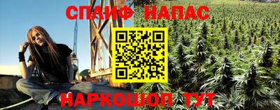 apvp Севастополь