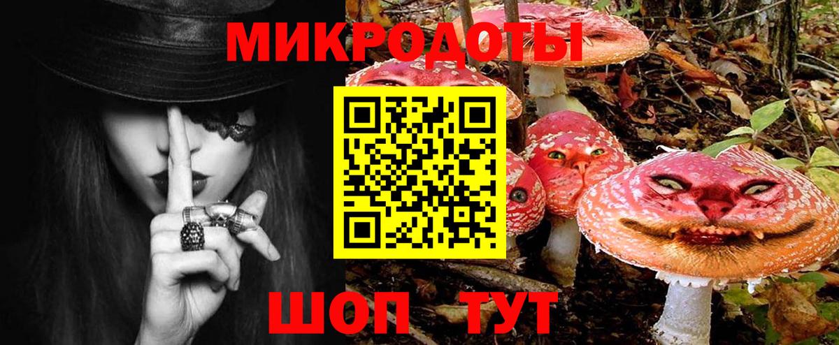 Псилоцибиновые грибы Psilocybine cubensis Хабаровск