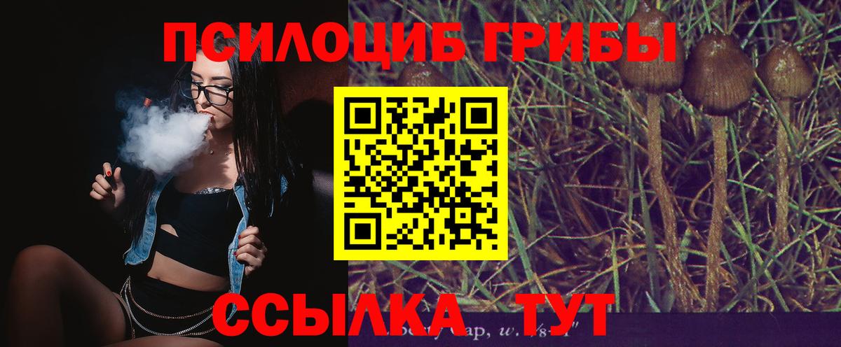 Хабаровск  Псилоцибиновые грибы прущие грибы  Галлюциногенные грибы Psilocybine cubensis  Вход с VPN 