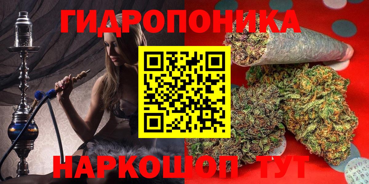 Каннабис сатива Хабаровск